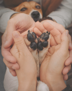 beige and blue illustrated tarot instagram post (7)