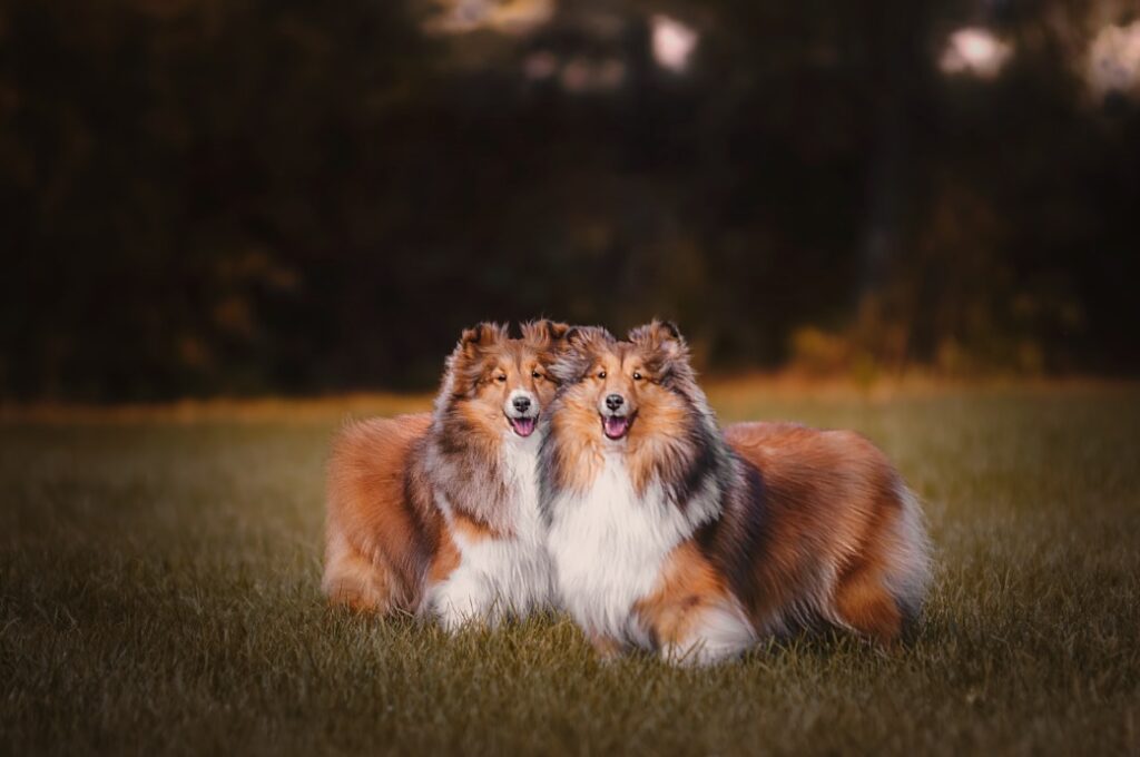 whatsapp image 2024 10 12 at 02.30.55