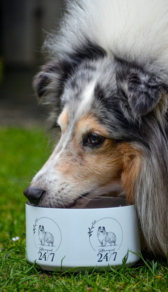 whatsapp image 2025 03 26 at 18.59.27