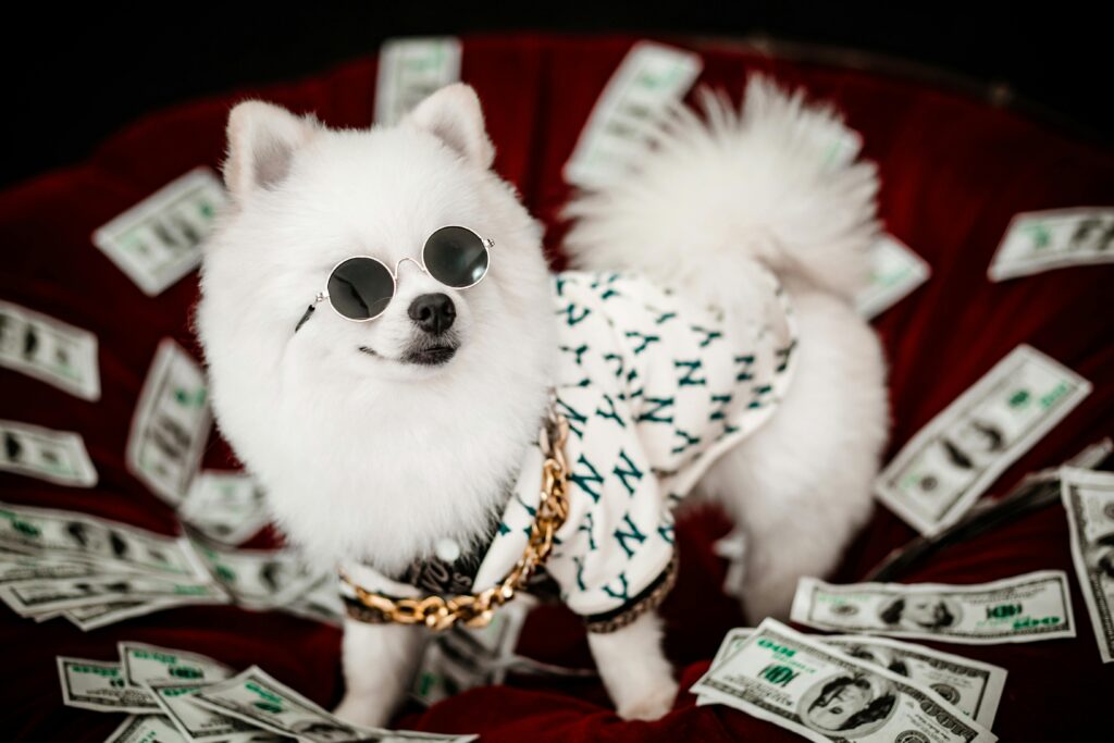 A stylish white Pomeranian wearing sunglasses and a chain amidst dollar bills.
